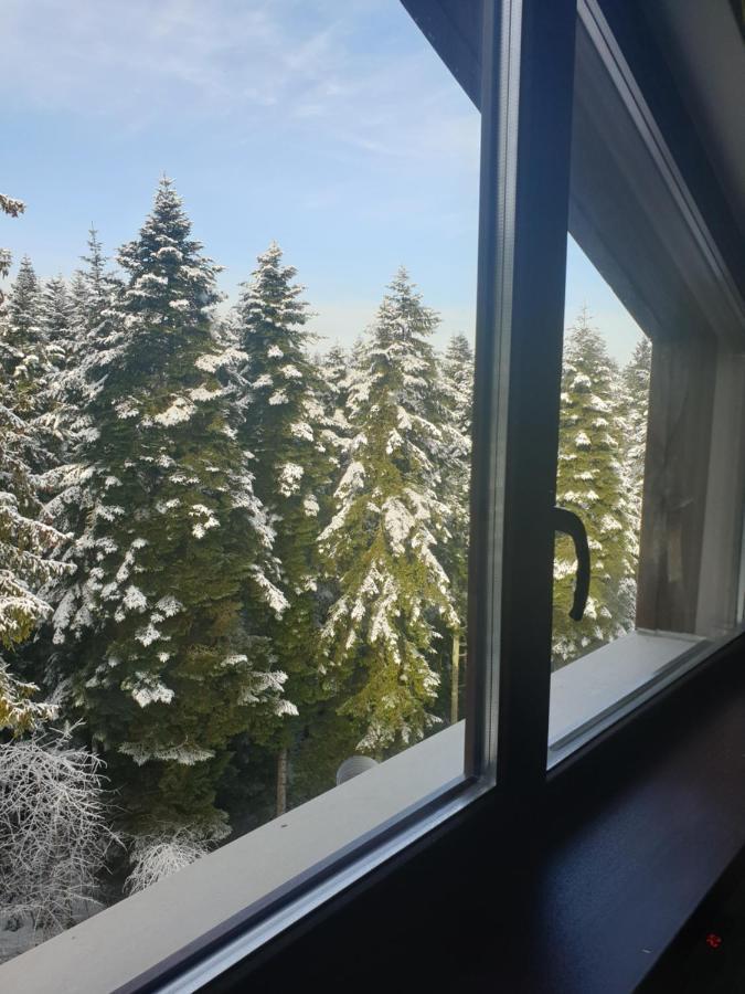 Borovets Forest View Eksteriør bilde