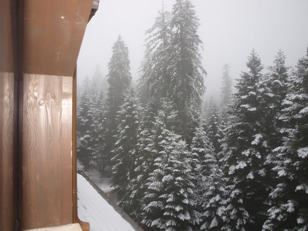 Borovets Forest View Eksteriør bilde